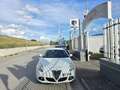 Alfa Romeo Giulietta Alfa Romeo Giulietta 1.4 Turbo 120 CV GPL Wit - thumbnail 2