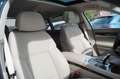 BMW 750 d Lang xDrive aus 1.Hand! +Head-Up+HK+360Grad Blau - thumbnail 14