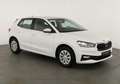 Skoda Fabia Selection 1.0 TSI Selection, Park, Winterpaket,... Weiß - thumbnail 1