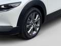 Mazda CX-30 2027 2.5L e-SKYACTIV G 140ps 6MT 2WD C Weiß - thumbnail 8