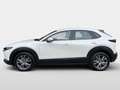 Mazda CX-30 2027 2.5L e-SKYACTIV G 140ps 6MT 2WD C Weiß - thumbnail 6