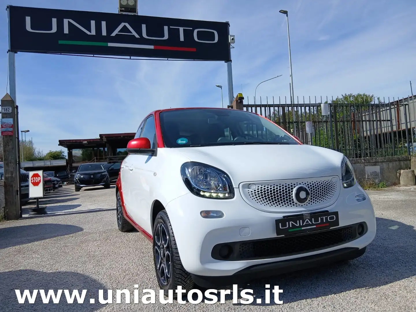 smart forFour Forfour 1.0 Passion 71cv twinamic Bianco - 2