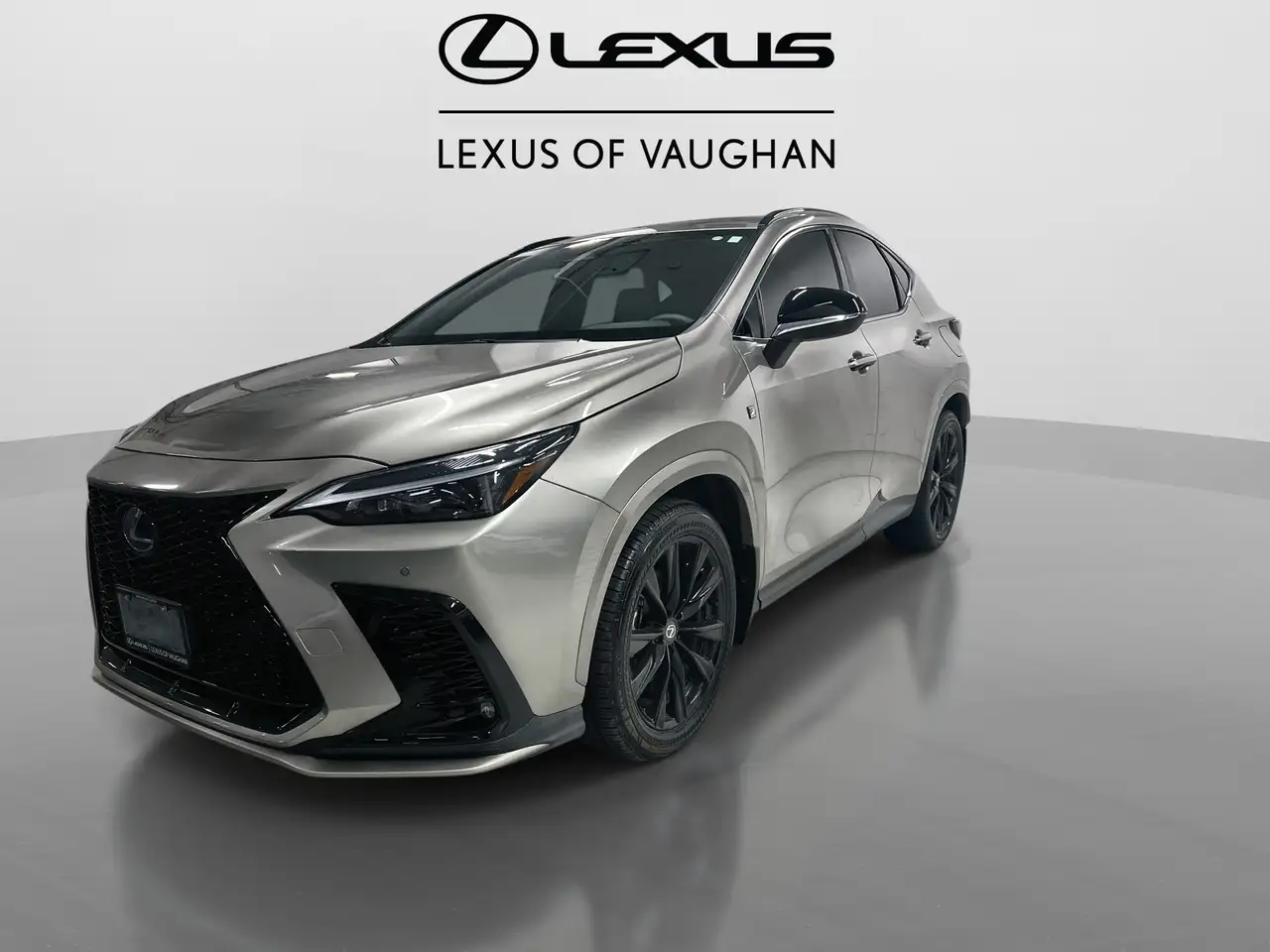 Lexus NX снимка Lexus NX