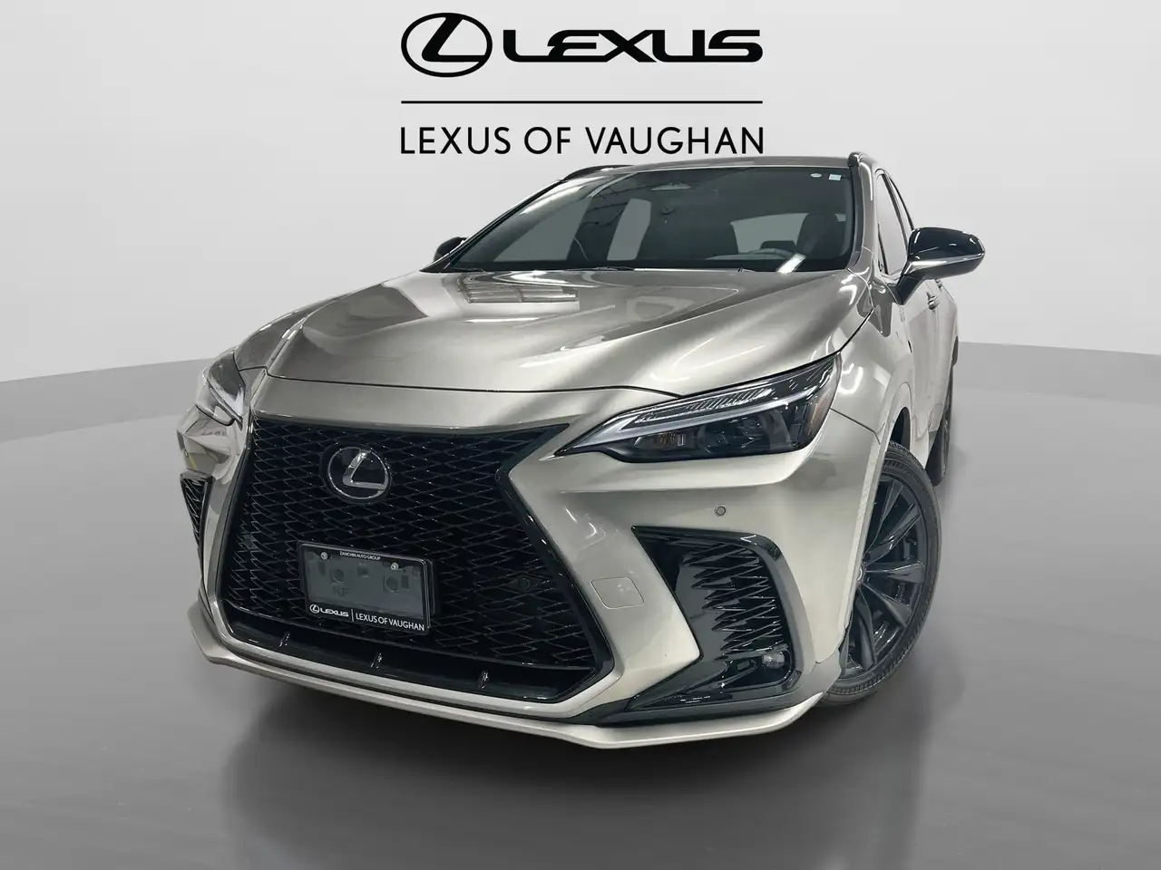 Lexus NX снимка Lexus NX