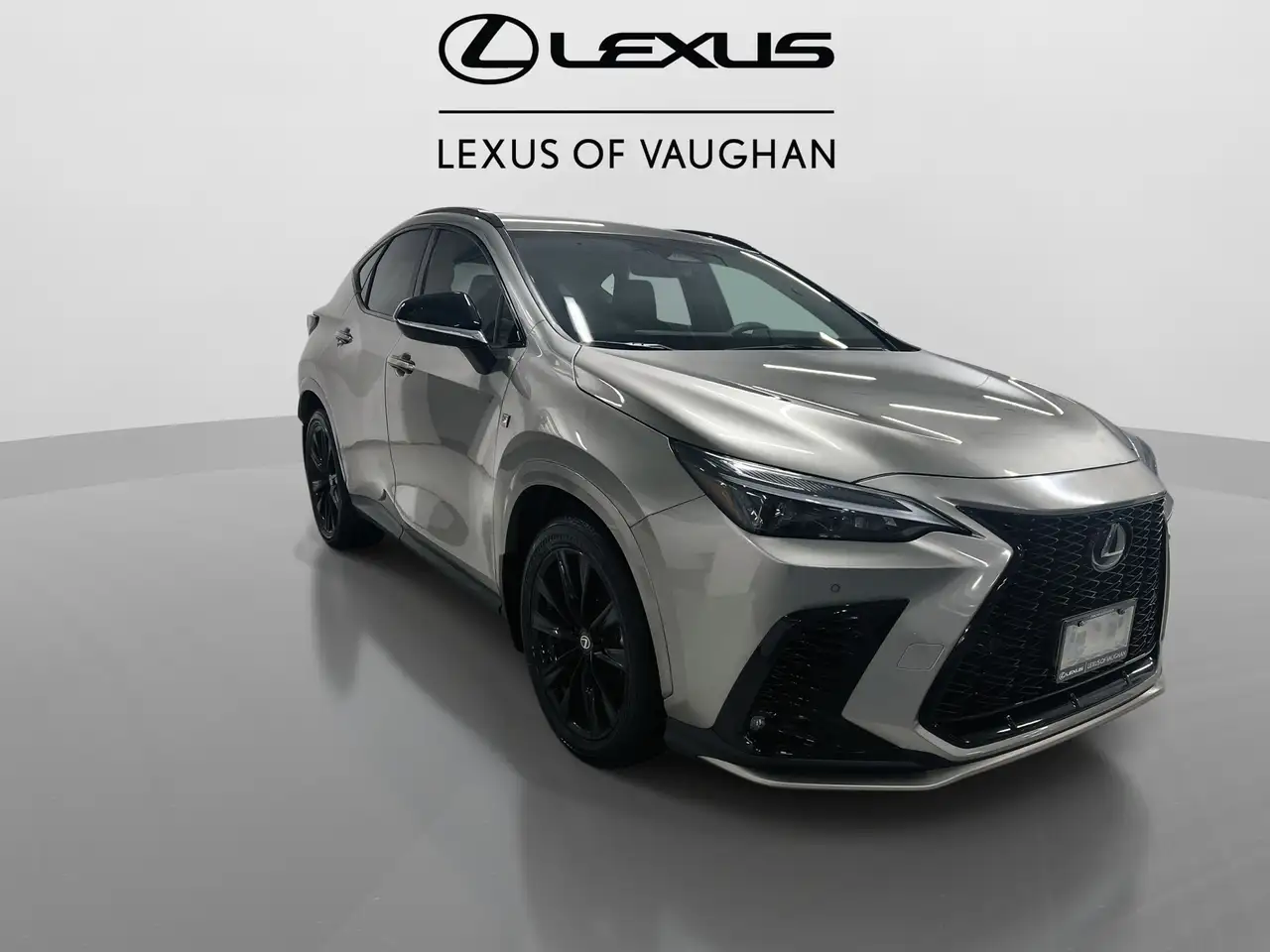 Lexus NX снимка Lexus NX