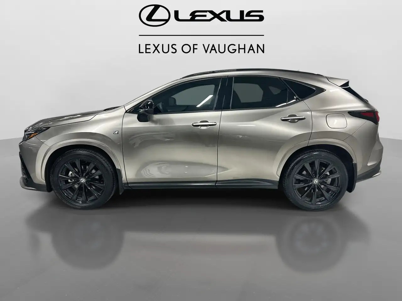 Lexus NX снимка Lexus NX