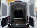 Ford Transit Kasten 350 L3 Trend Kamera MFL Klimaauto Weiß - thumbnail 8