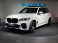 BMW X5 xDrive40d / M SPORTPAKET / PANO / HEAD UP / SITZ Weiß - thumbnail 12