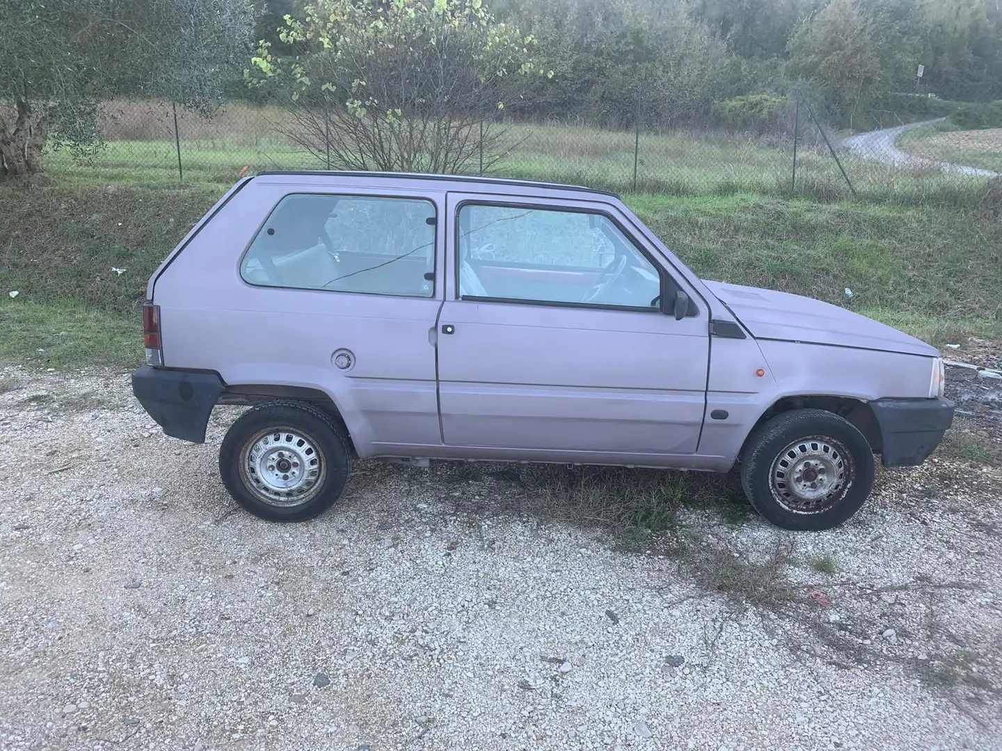 Fiat Panda 1.0 ie L cat. - 1
