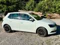 Skoda Fabia Fabia Ambition 1,0 Ambition Weiß - thumbnail 2