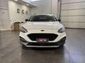 Ford Focus Focus 1.0 EcoBoost Hybrid 125 CV 5p. Active Blanc - thumbnail 2