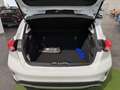 Ford Focus Focus 1.0 EcoBoost Hybrid 125 CV 5p. Active Blanc - thumbnail 25