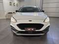 Ford Focus Focus 1.0 EcoBoost Hybrid 125 CV 5p. Active Blanc - thumbnail 31