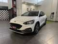 Ford Focus Focus 1.0 EcoBoost Hybrid 125 CV 5p. Active Blanc - thumbnail 1