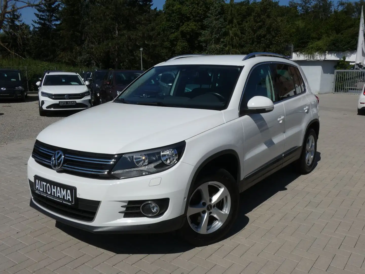 Volkswagen Tiguan 2.0 TDI S&S BMT *NAVI*BT*SHZ*PARKLENK*AHK Weiß - 1