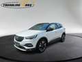 Opel Grandland X 1,2 Turbo Innovation Aut. Weiß - thumbnail 5