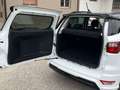 Ford EcoSport 1.5 t.d. ecoboost ST-Line Black Edition 100cv my19 Blanc - thumbnail 9