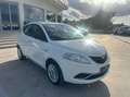 Lancia Ypsilon 1.2 Gold ecochic Gpl 69cv Blanc - thumbnail 3