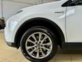Toyota RAV 4 2.5 hybrid 2WD Advance Blanco - thumbnail 10