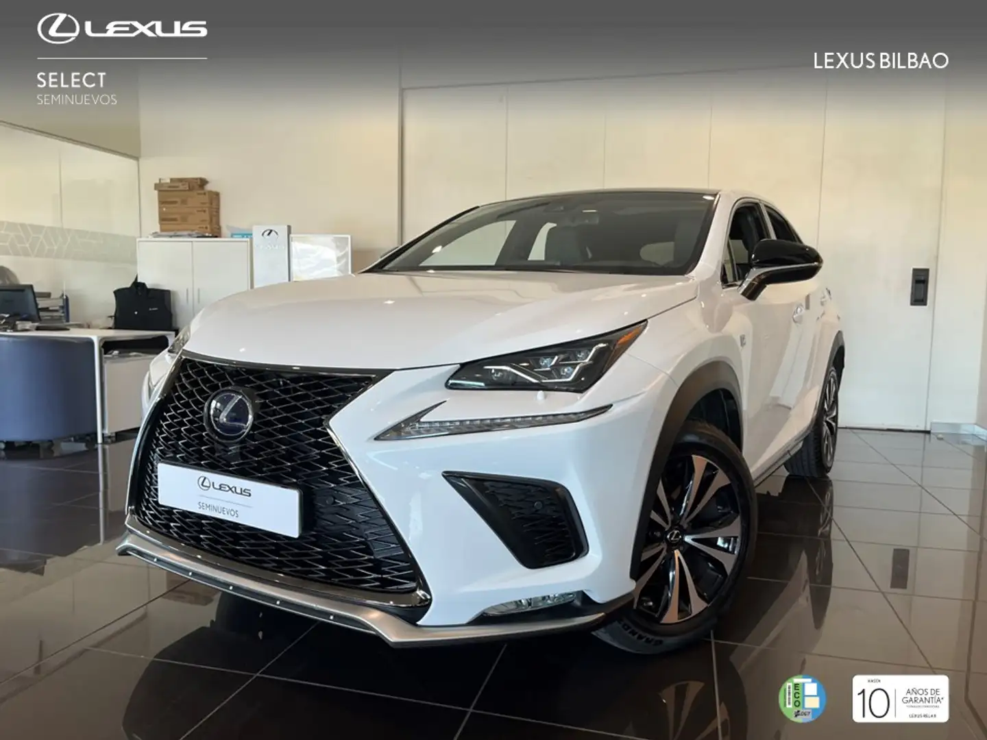 Lexus NX 300 300h F Sport Panorámico 4WD Bianco - 1