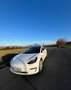 Tesla Model 3 Model 3 Longrange Allradantrieb Dual Motor Weiß - thumbnail 1