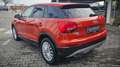 Audi Q2 40 2.0 Tfsi Business Design Quattro S-tronic Rosso - thumbnail 5