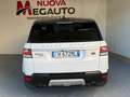 Land Rover Range Rover Sport 3.0 TDV6 Black & White Edition Gris - thumbnail 5