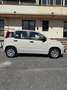 Fiat Panda 1.2 Lounge Beige - thumbnail 11