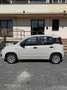 Fiat Panda 1.2 Lounge Beige - thumbnail 13