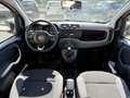 Fiat Panda 1.2 Lounge Beige - thumbnail 8