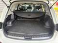 Nissan Qashqai +2 360 4X4 Sound Bose Weiß - thumbnail 14