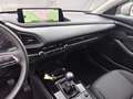 Mazda CX-30 e-Skyactive G150 AWD ALLRAD Exclusive-Line +Des... Gris - thumbnail 16