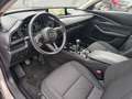 Mazda CX-30 e-Skyactive G150 AWD ALLRAD Exclusive-Line +Des... Gris - thumbnail 3