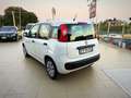 Fiat Panda 1.2 Pop 69cv Perfette Condizioni Garanzia 12 Mesi - thumbnail 4