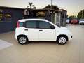 Fiat Panda 1.2 Pop 69cv Perfette Condizioni Garanzia 12 Mesi - thumbnail 5