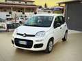 Fiat Panda 1.2 Pop 69cv Perfette Condizioni Garanzia 12 Mesi - thumbnail 2