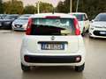 Fiat Panda 1.2 Pop 69cv Perfette Condizioni Garanzia 12 Mesi - thumbnail 8