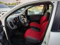 Fiat Panda 1.2 Pop 69cv Perfette Condizioni Garanzia 12 Mesi - thumbnail 9