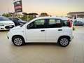 Fiat Panda 1.2 Pop 69cv Perfette Condizioni Garanzia 12 Mesi - thumbnail 6