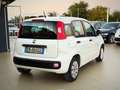 Fiat Panda 1.2 Pop 69cv Perfette Condizioni Garanzia 12 Mesi - thumbnail 3