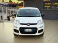 Fiat Panda 1.2 Pop 69cv Perfette Condizioni Garanzia 12 Mesi - thumbnail 7