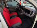 Fiat Panda 1.2 Pop 69cv Perfette Condizioni Garanzia 12 Mesi - thumbnail 12