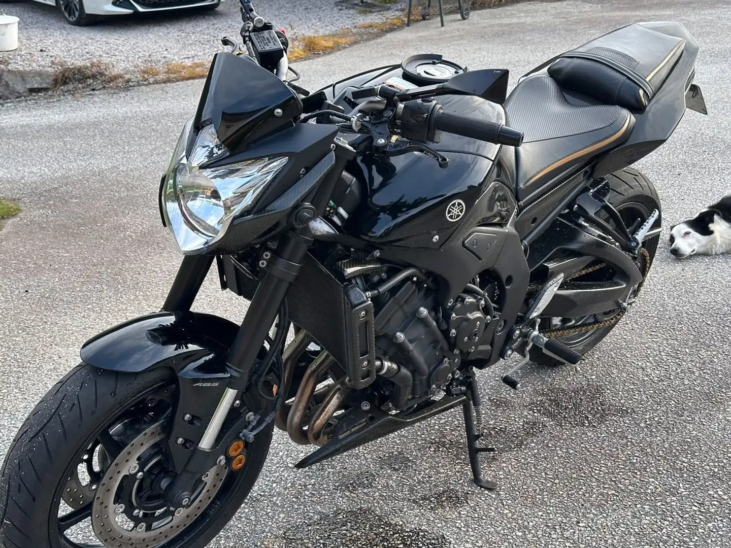 Yamaha FZ 8 Yamaha FZ8 Чёрный - 1