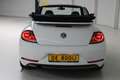 Volkswagen Beetle Cabriolet 1.2 TSI DSG Sound Navigatie | Climate Co White - thumbnail 4