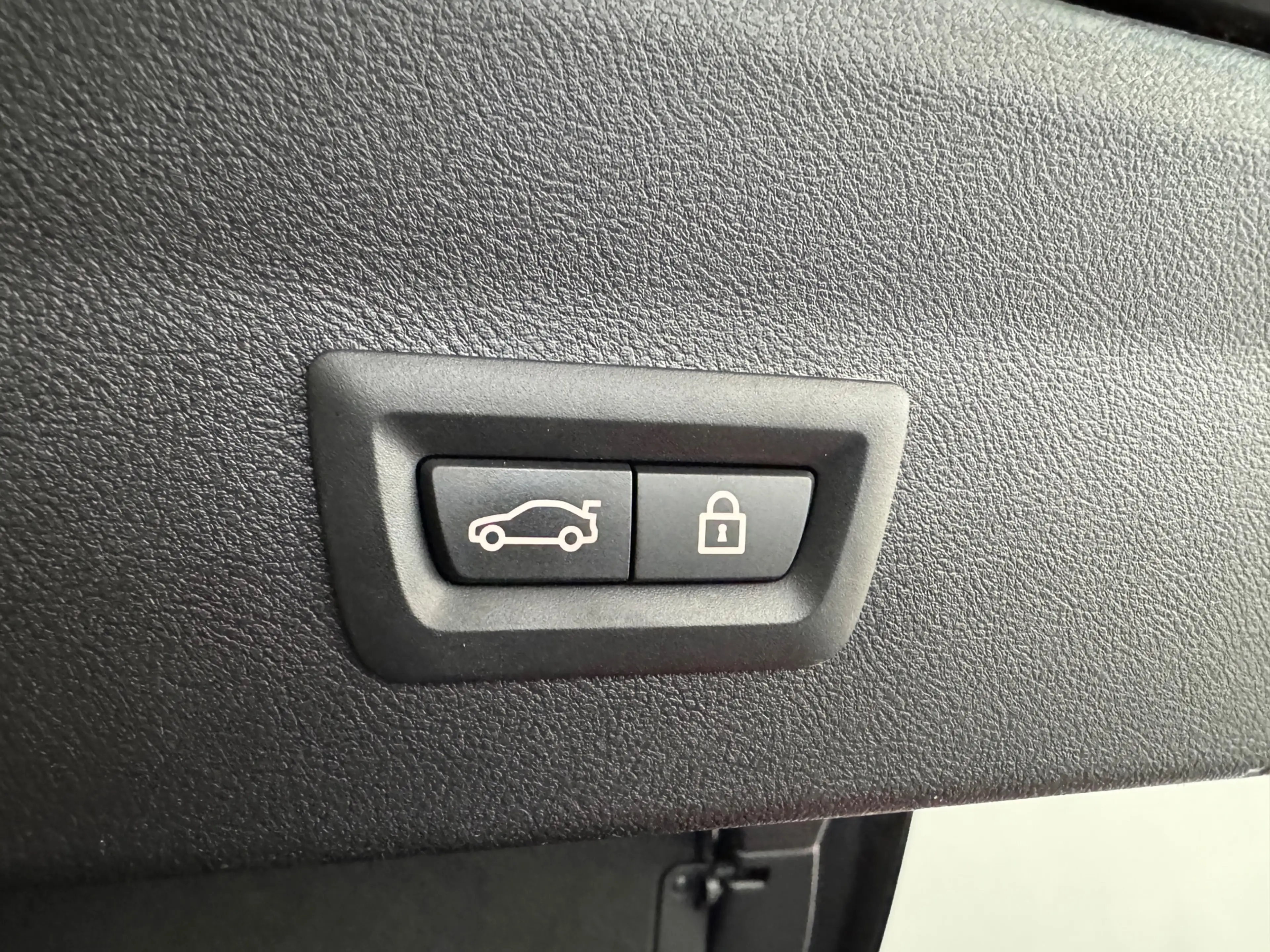 BMW X4 XDrive20i Business Edition Plus — photo 13