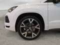 SEAT Ateca SEAT FR 2.0 TDI 110 kW (150 CV) Diesel DSG 7 marc Wit - thumbnail 11