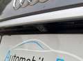 Audi Q5 Q5 40 Quattro S-Tronic S-Line AHK*Virtual*Kamera! Grau - thumbnail 16