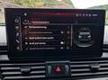 Audi Q5 Q5 40 Quattro S-Tronic S-Line AHK*Virtual*Kamera! Grau - thumbnail 41