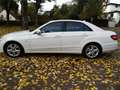 Mercedes-Benz 250 E 250 CDI Blue Efficiency Automatik Білий - thumbnail 4