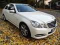 Mercedes-Benz 250 E 250 CDI Blue Efficiency Automatik Білий - thumbnail 2